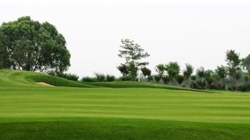 人造草坪价格影响因素之人造草坪底布